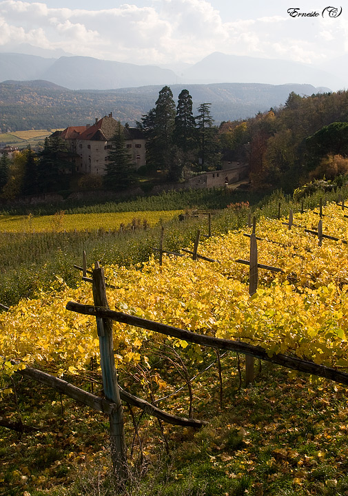 la piana di Caldaro